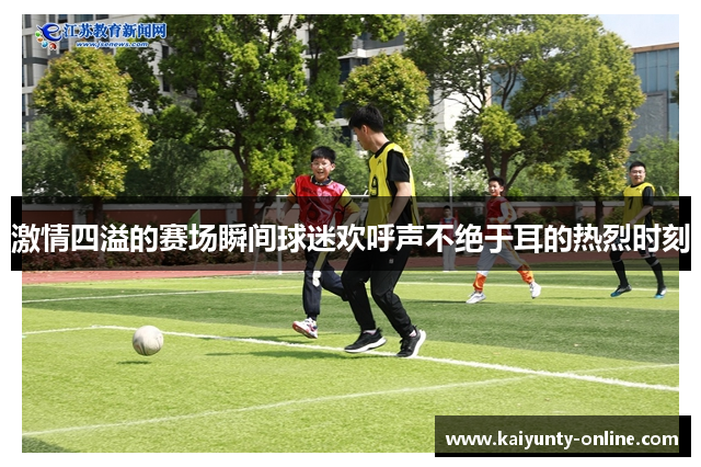 激情四溢的赛场瞬间球迷欢呼声不绝于耳的热烈时刻