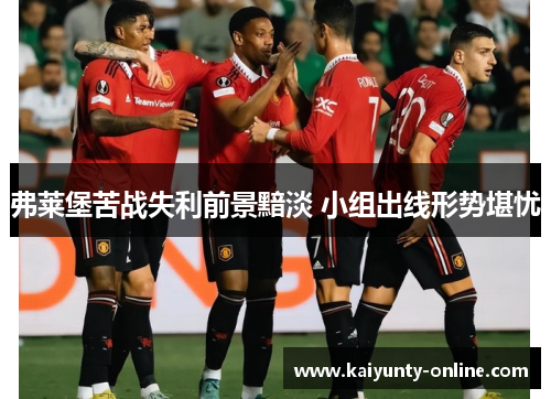 弗莱堡苦战失利前景黯淡 小组出线形势堪忧