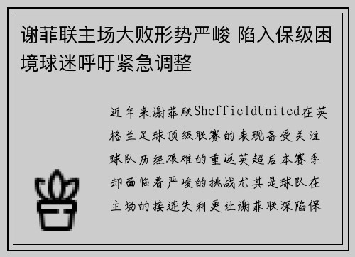 谢菲联主场大败形势严峻 陷入保级困境球迷呼吁紧急调整
