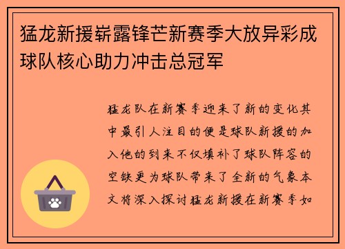 猛龙新援崭露锋芒新赛季大放异彩成球队核心助力冲击总冠军