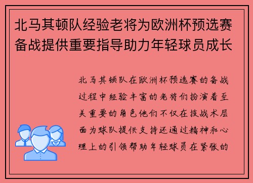 北马其顿队经验老将为欧洲杯预选赛备战提供重要指导助力年轻球员成长