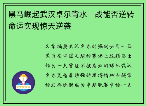 黑马崛起武汉卓尔背水一战能否逆转命运实现惊天逆袭